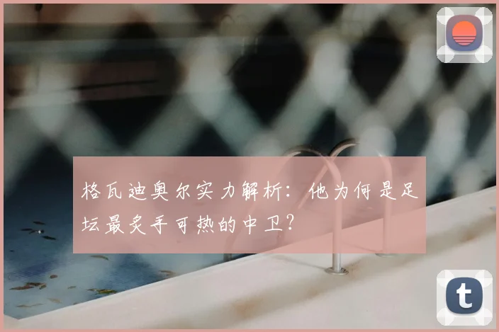 格瓦迪奥尔实力解析：他为何是足坛最炙手可热的中卫？