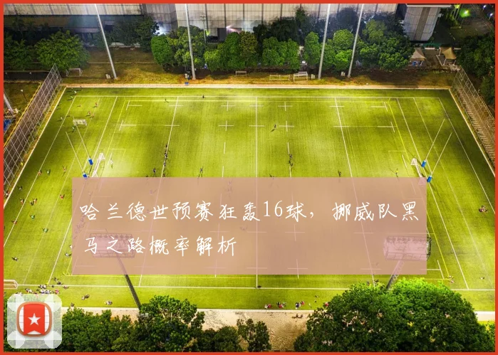 哈兰德世预赛狂轰16球，挪威队黑马之路概率解析